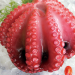 Arctic Surf Clam, Dried Shrimp, Frozen Swimming Crab, Squid, Octopus, Scallop, Whelk, Ark Clam